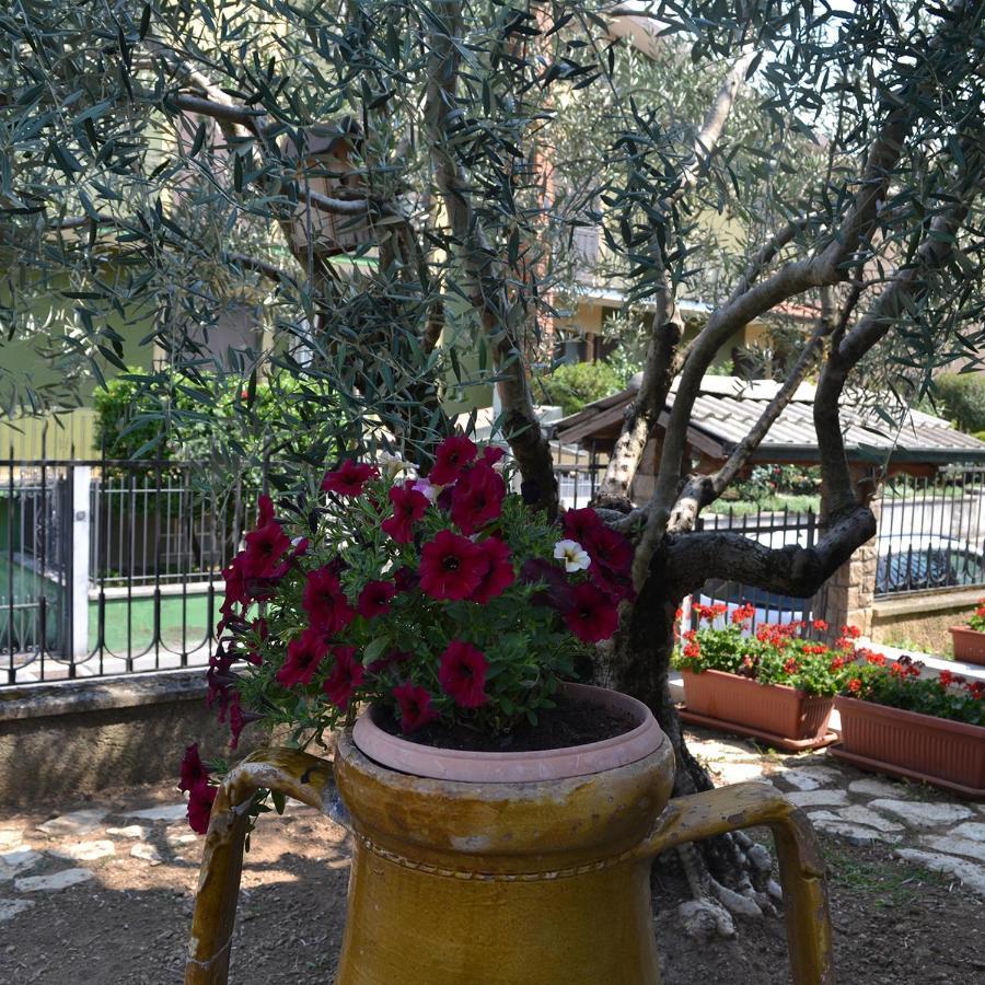 Riflessi D'Arte Bed & Breakfast Provaglio d'Iseo Exterior photo