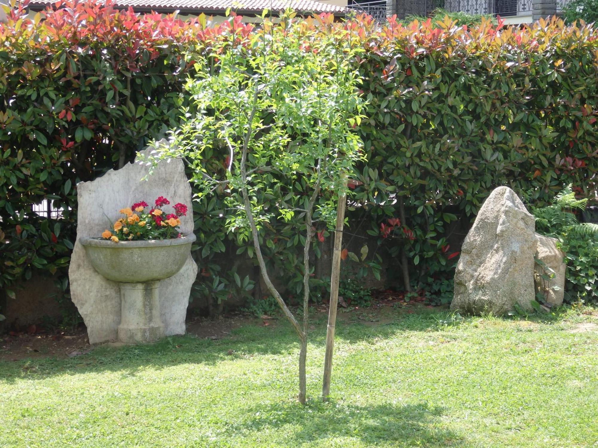 Riflessi D'Arte Bed & Breakfast Provaglio d'Iseo Exterior photo